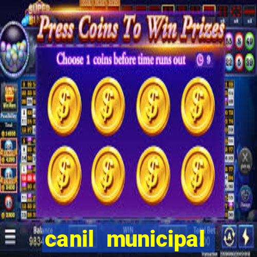 canil municipal porto alegre